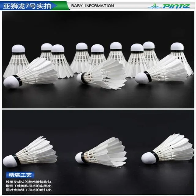 凡尘组合精心备赛目标直指冠军